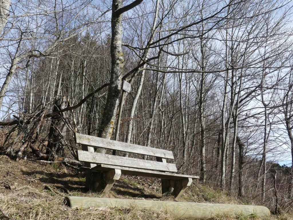 banc-1369