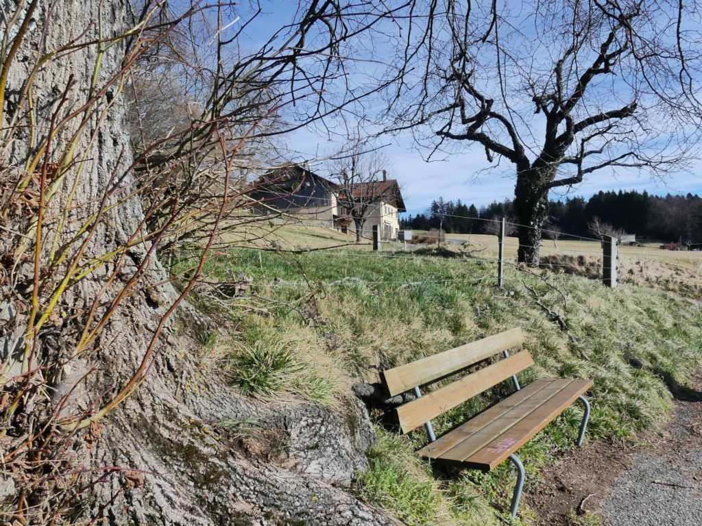 banc-1372