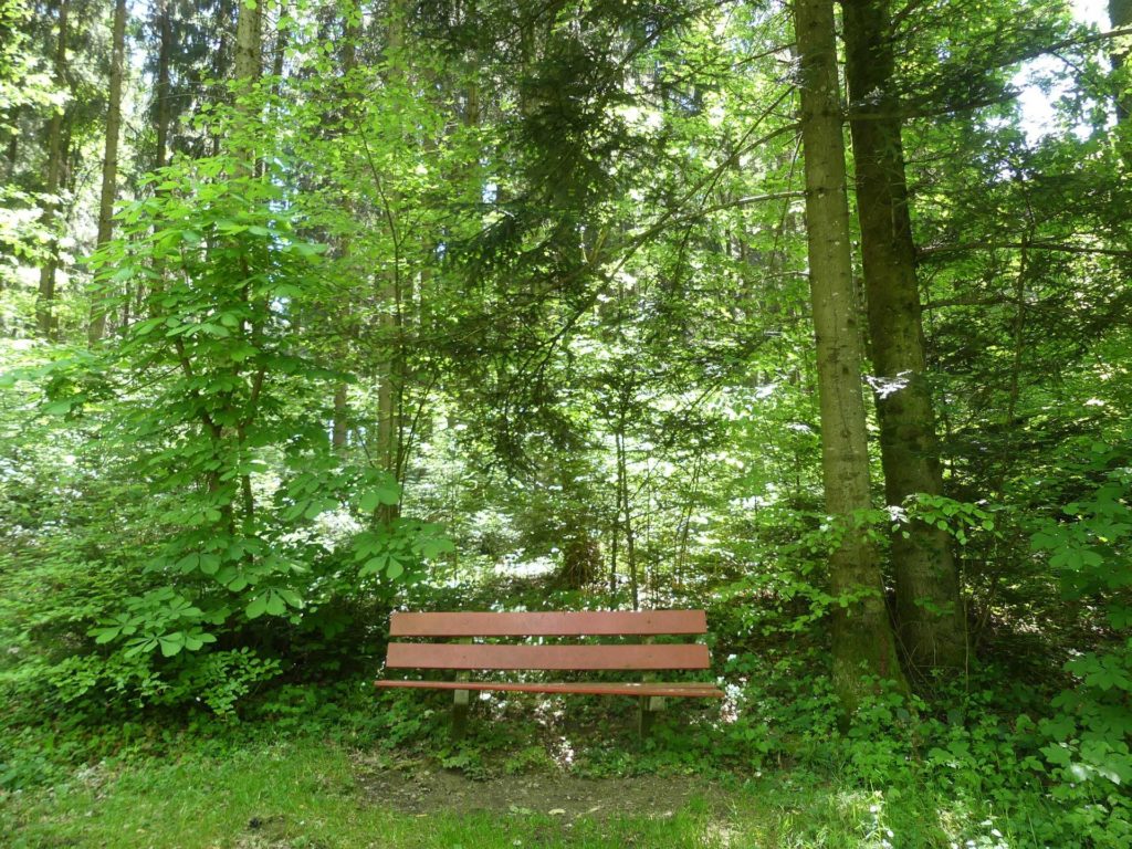 Assens, Bois aux Allemands, Le Talent, Cugy
, banc