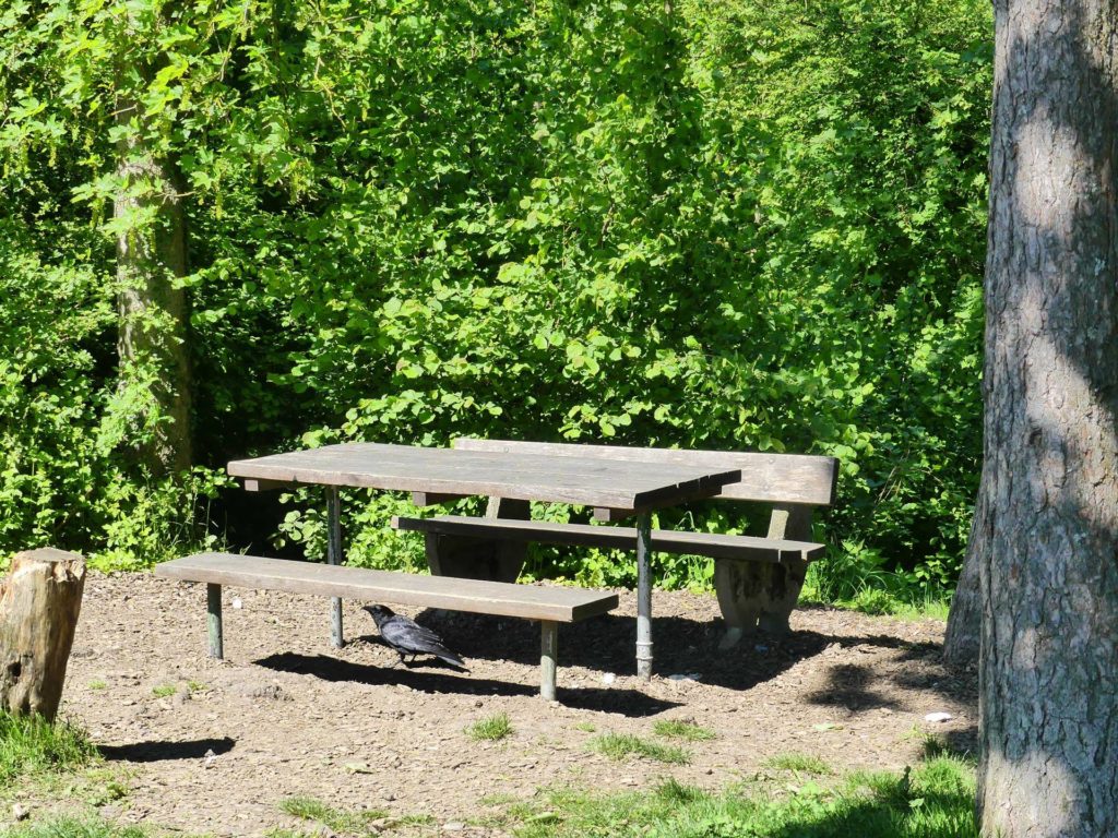 Etagnières, Les Trembles, Bois aux Allemands, Le Talent, Echallens, banc