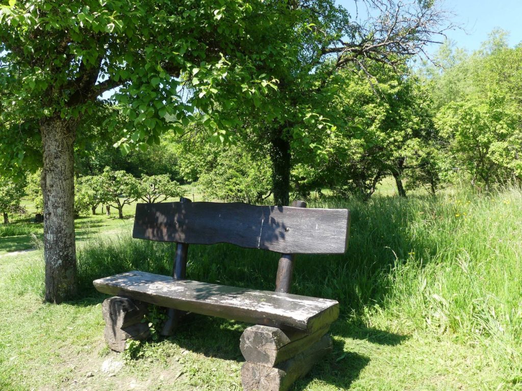 banc-1388
