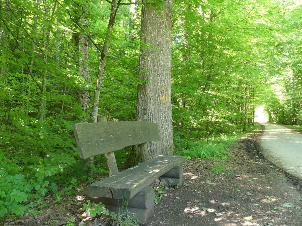 banc-1389