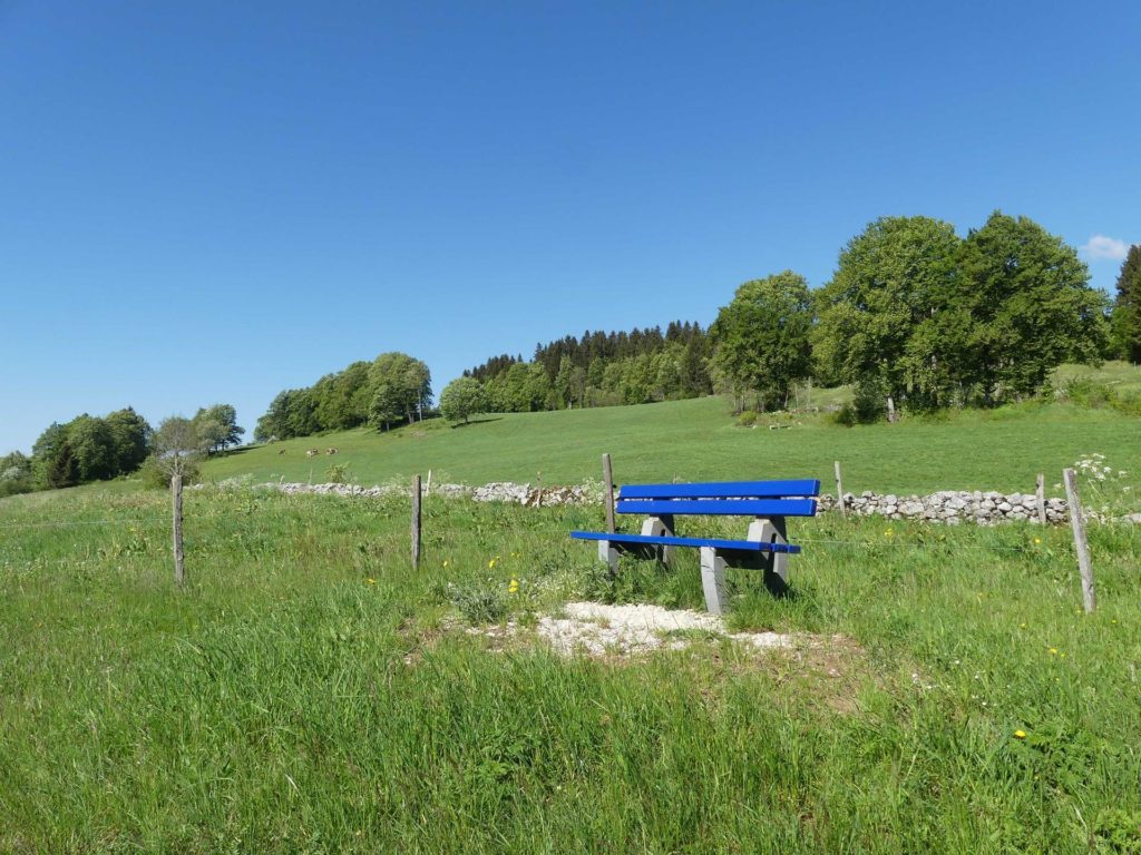 banc-1395