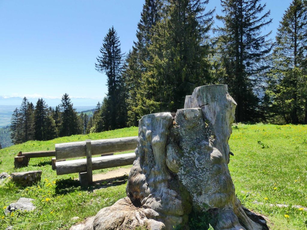 banc-1396