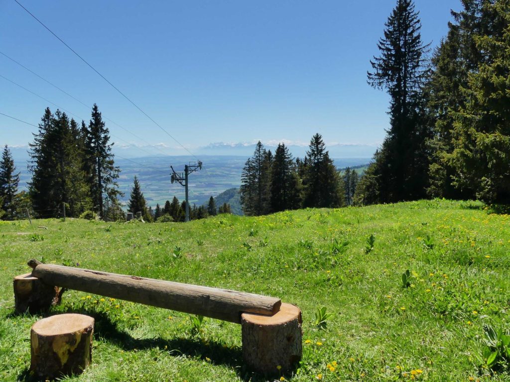 banc-1397
