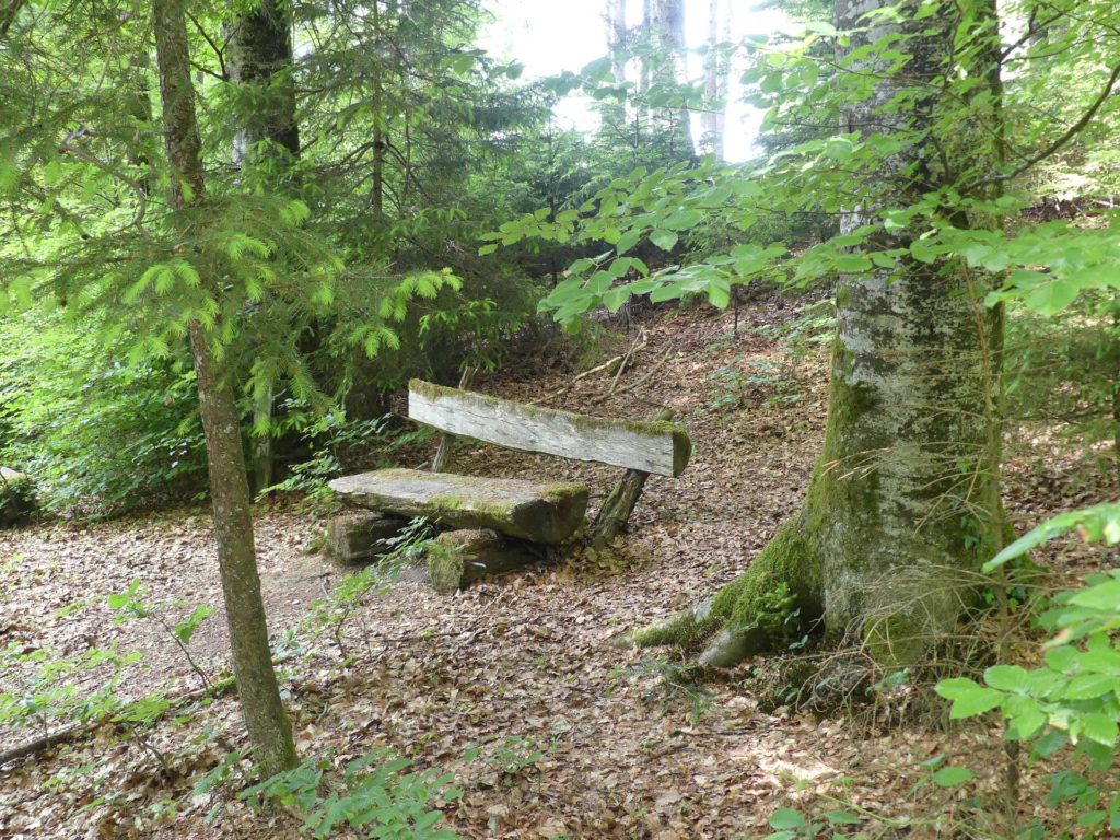 banc-1406