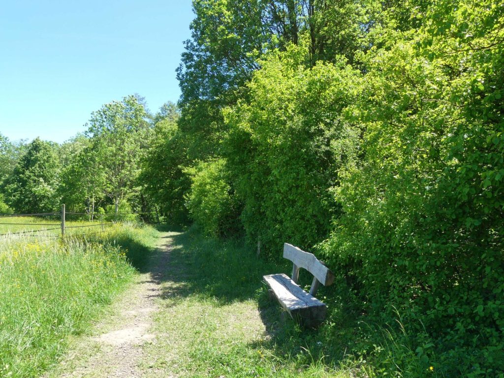 banc-1411