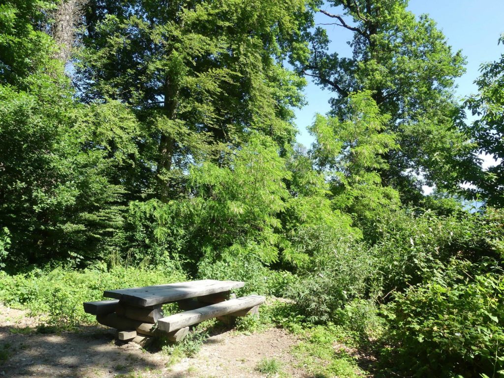 banc-1419