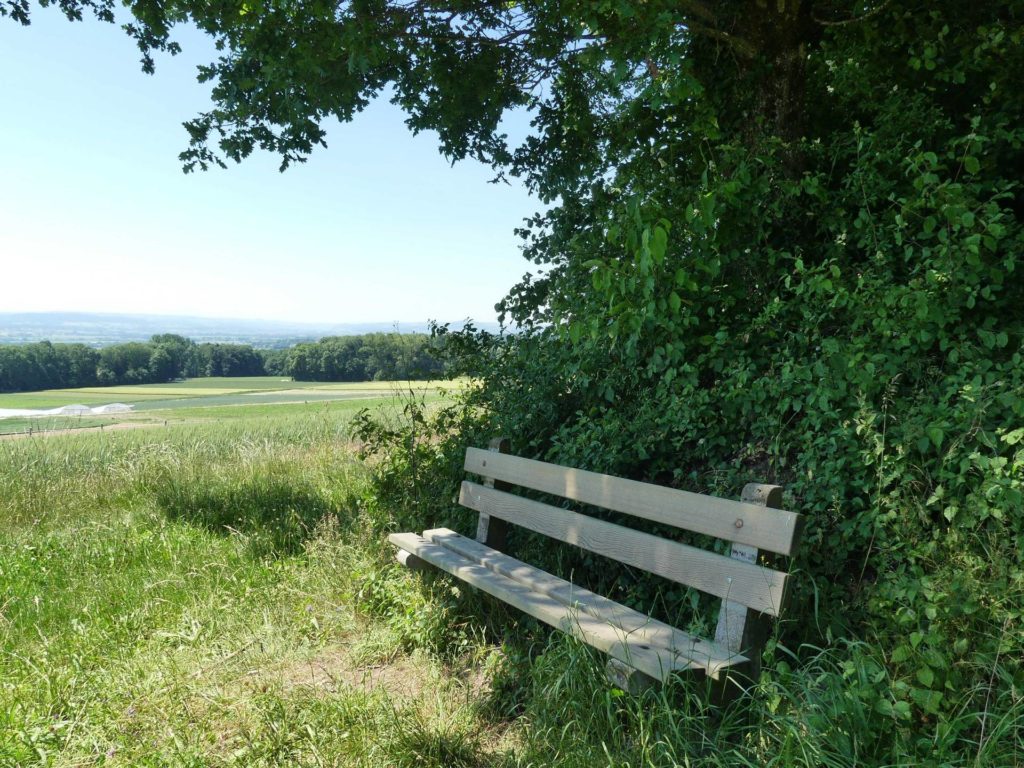 banc-1441