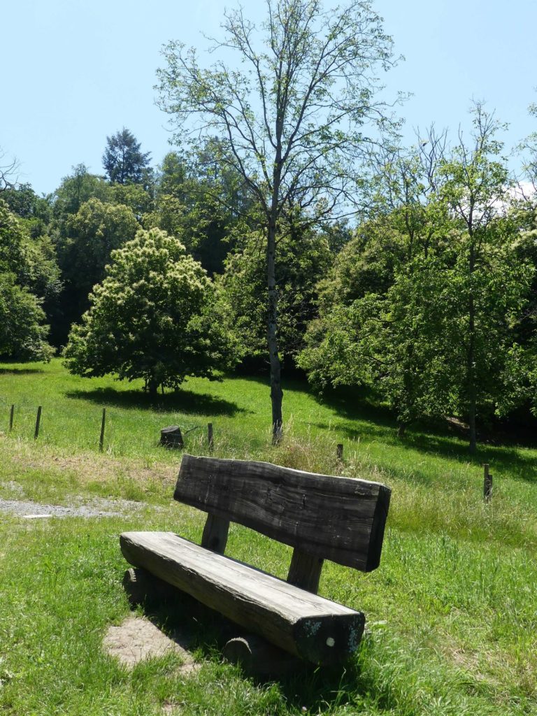 banc-1451