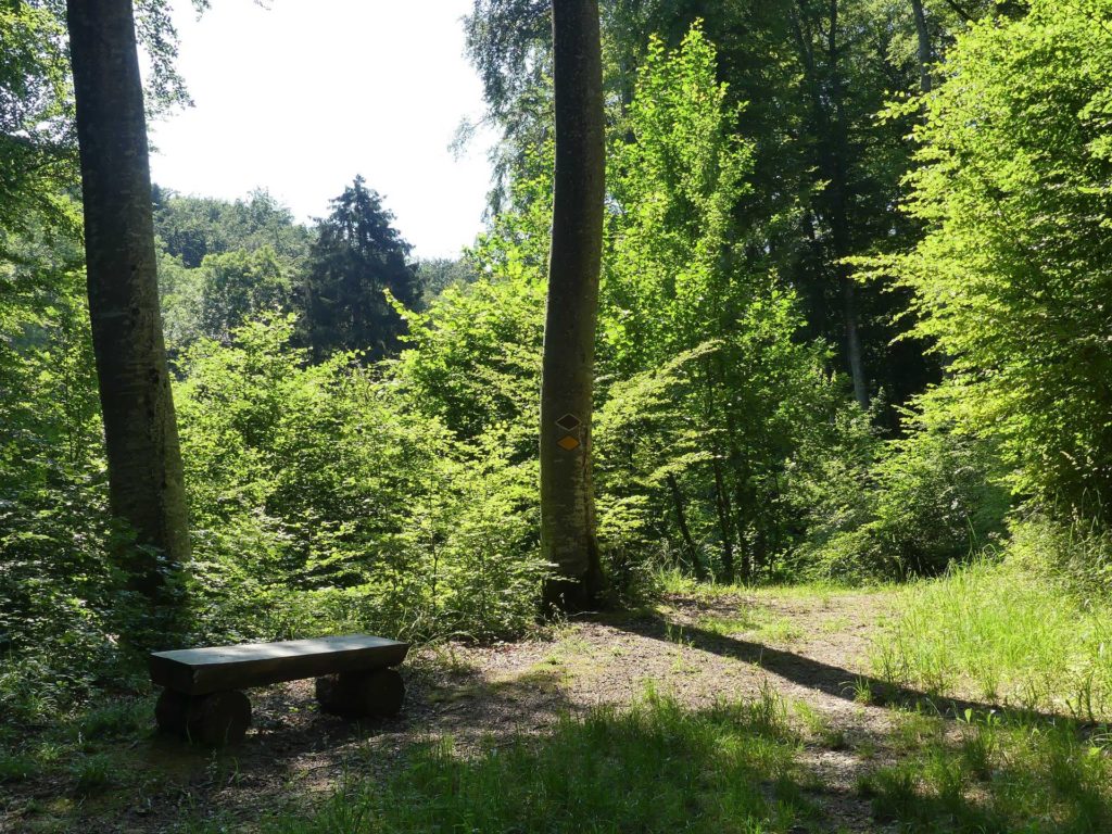 banc-1458