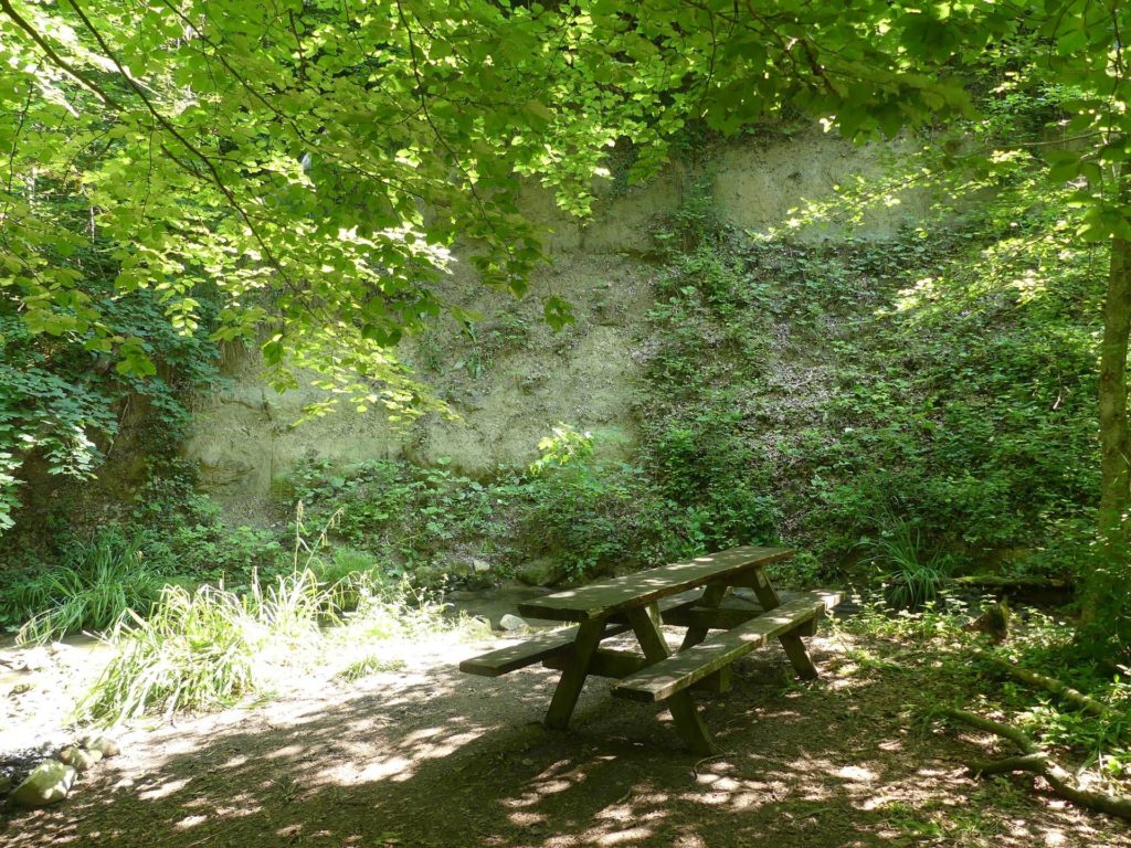banc-1459