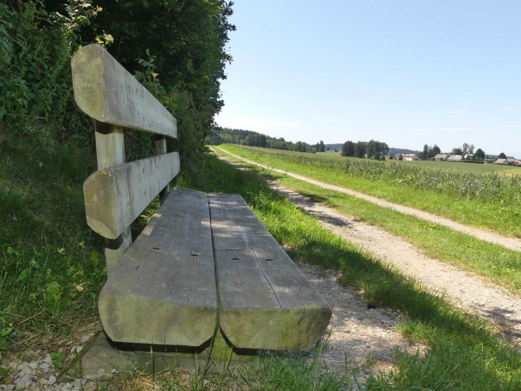banc-1464