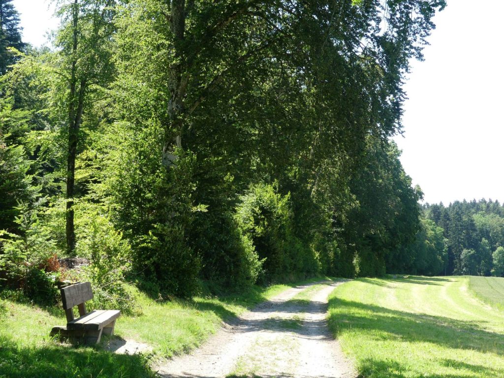banc-1465