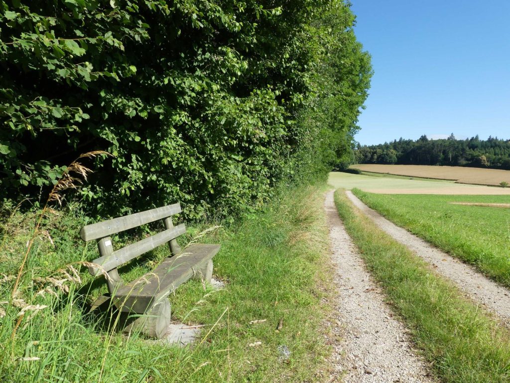 banc-1469