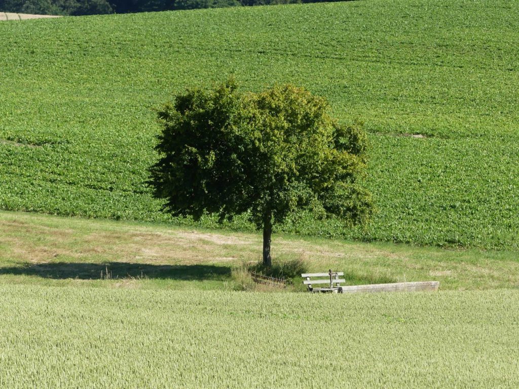 banc-1470