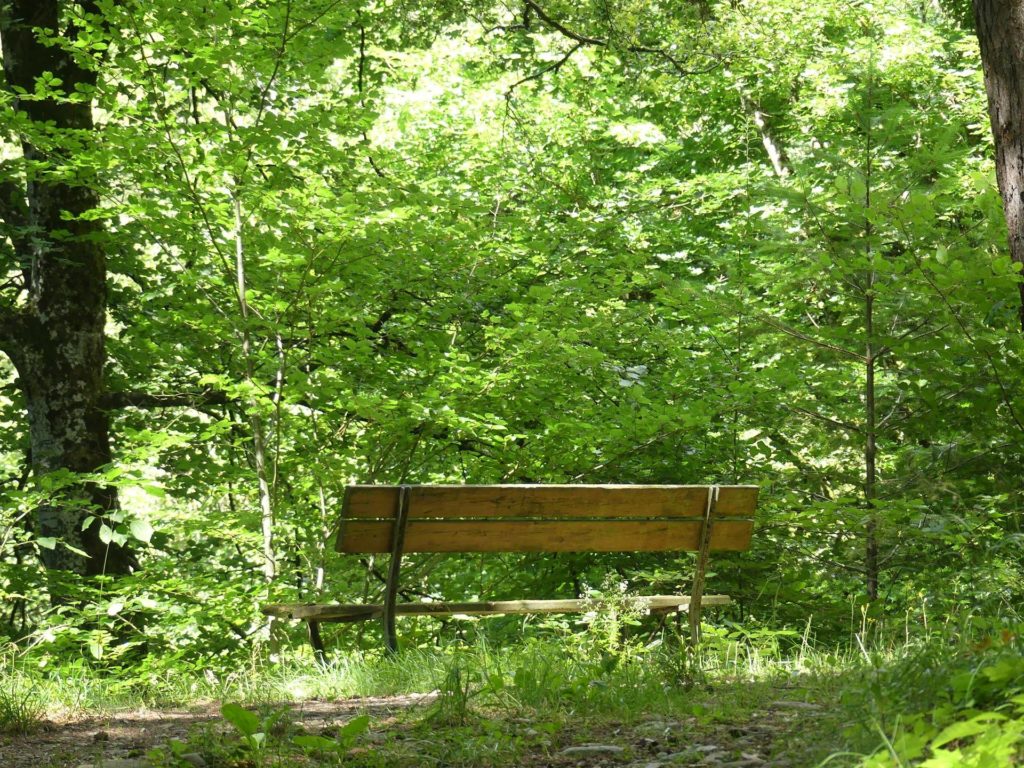 banc-1475