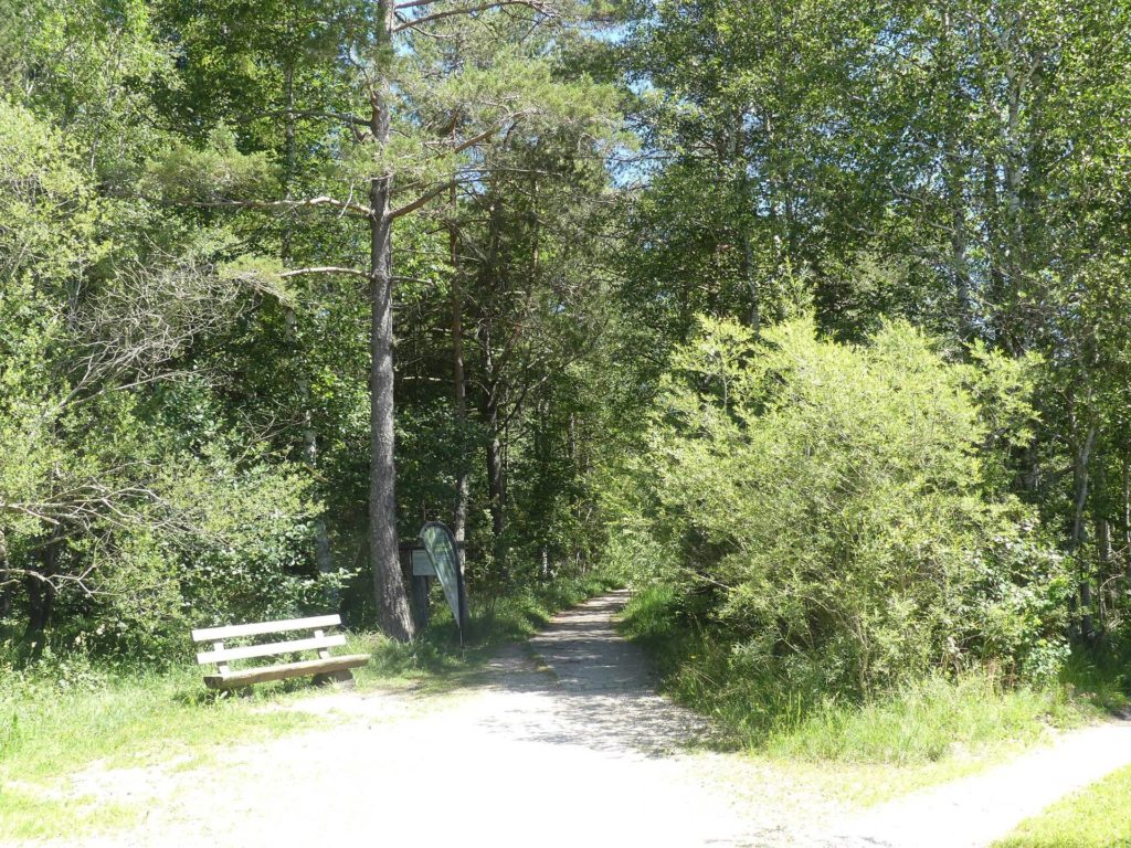 banc-1493