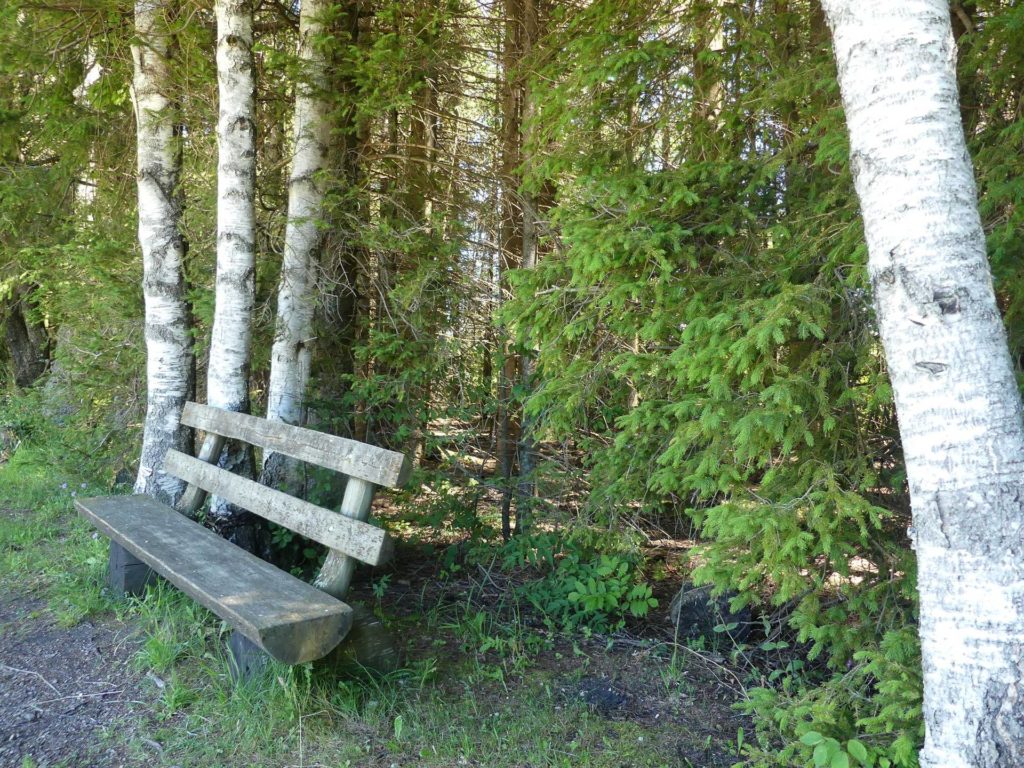 banc-1494