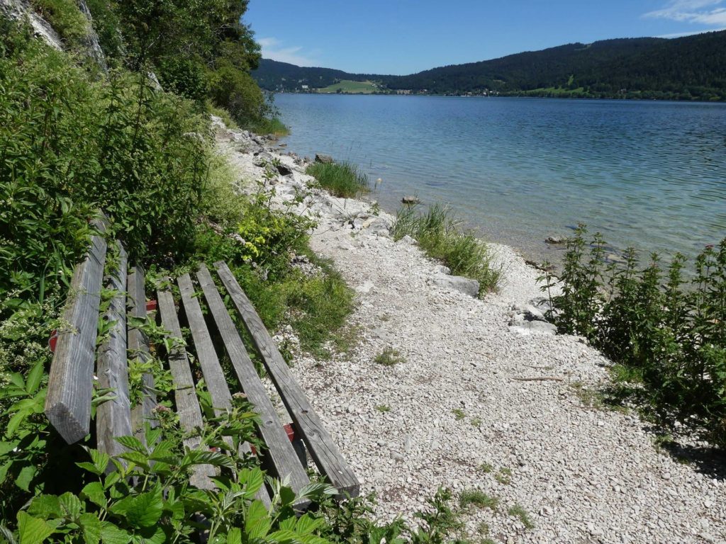 banc-1500