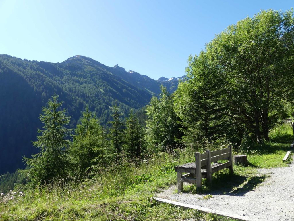 banc-1504