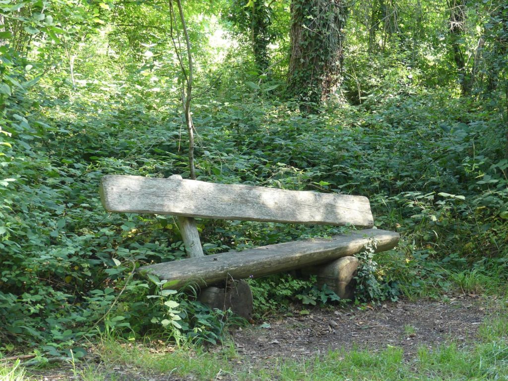 banc-1510