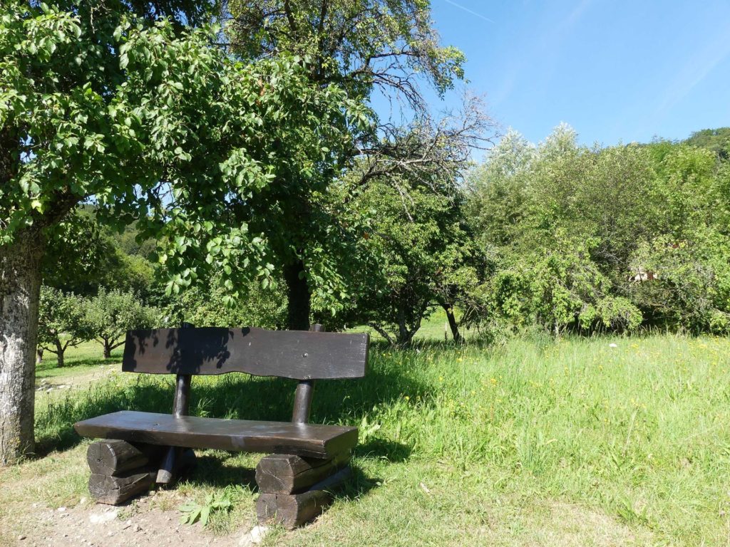 banc-1520