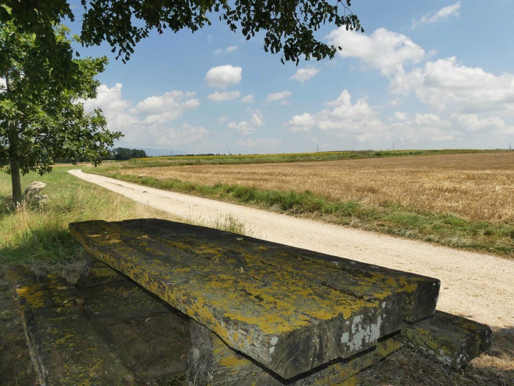 banc-1529