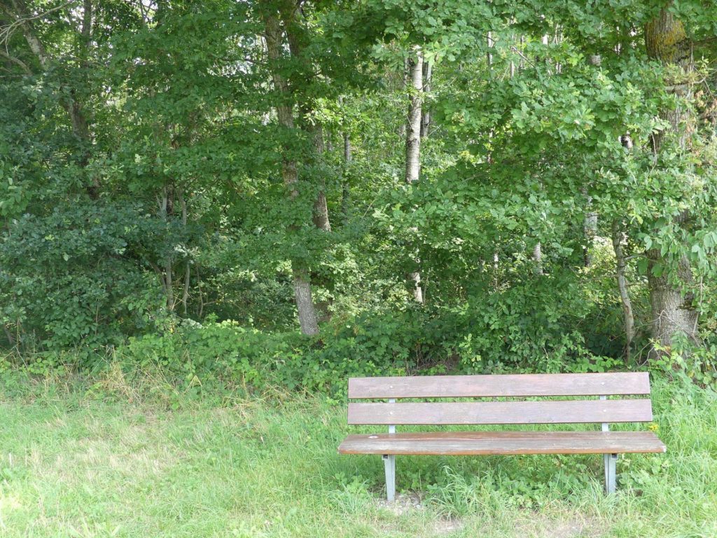 banc-1533