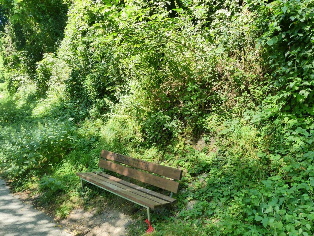 banc-1535