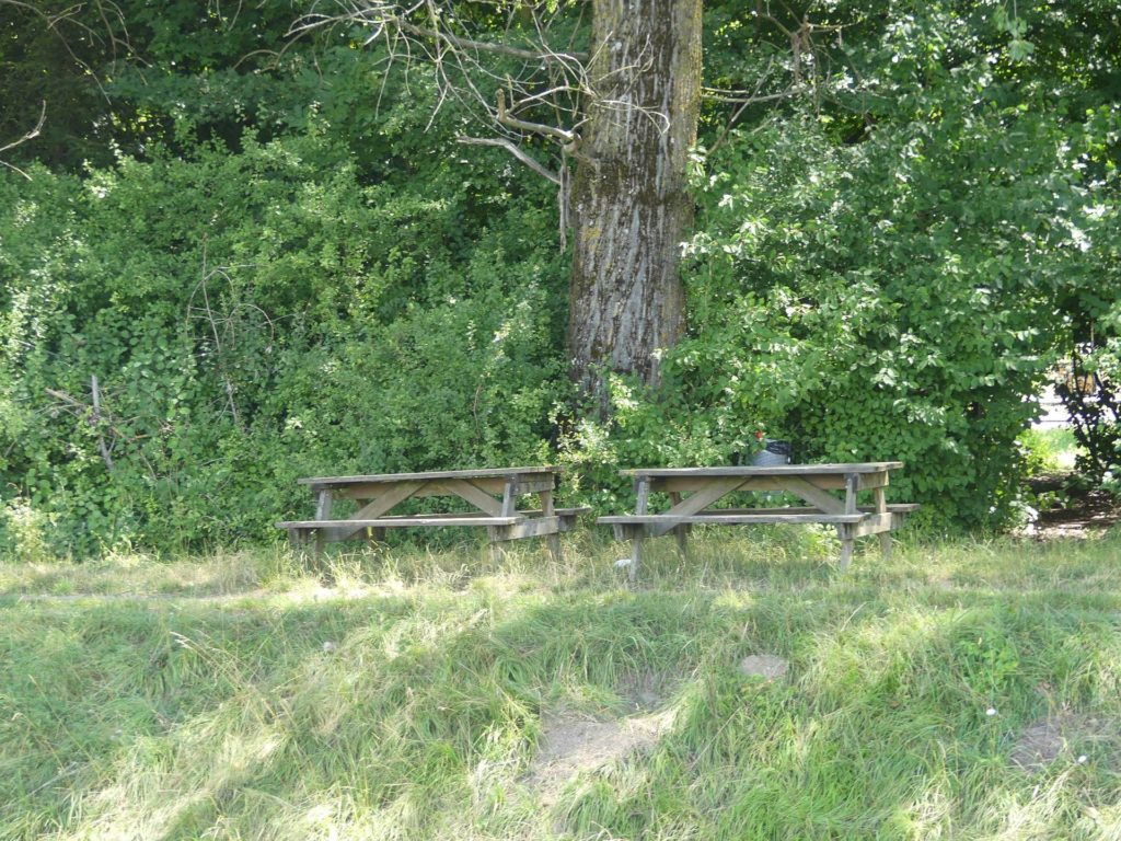 banc-1536