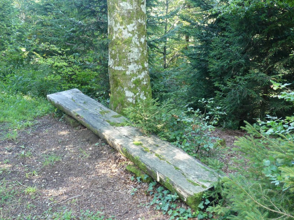 banc-1544