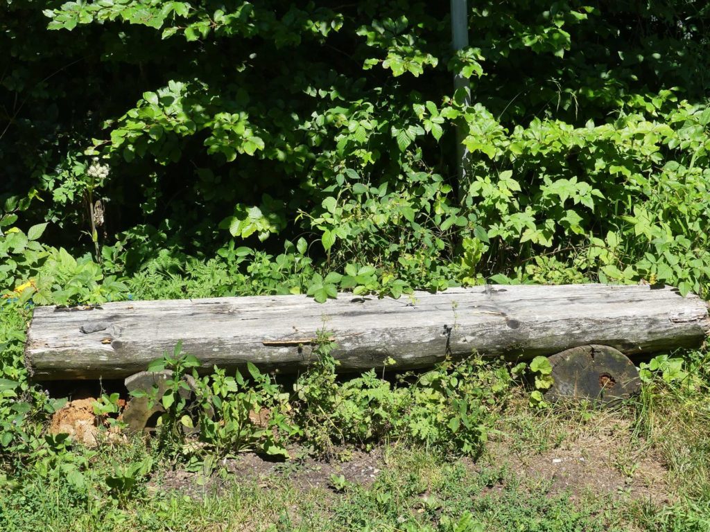 banc-1547