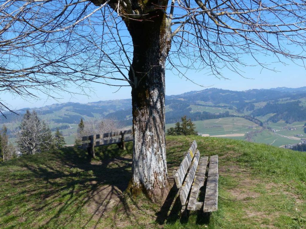 banc-155