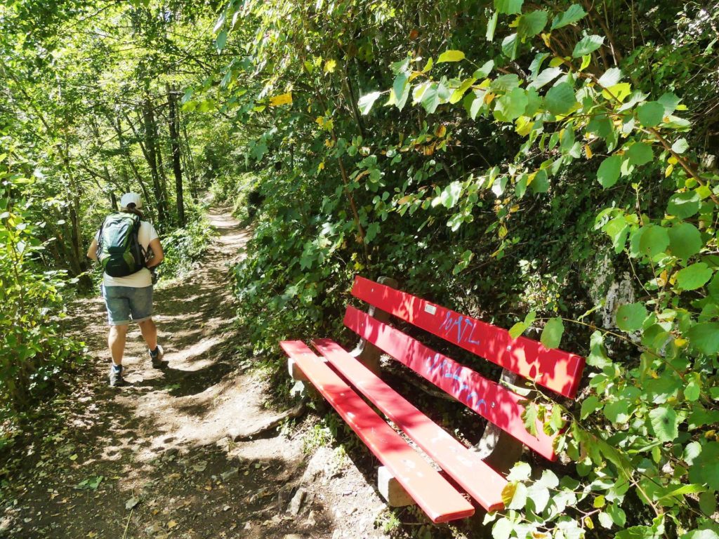 banc-1554
