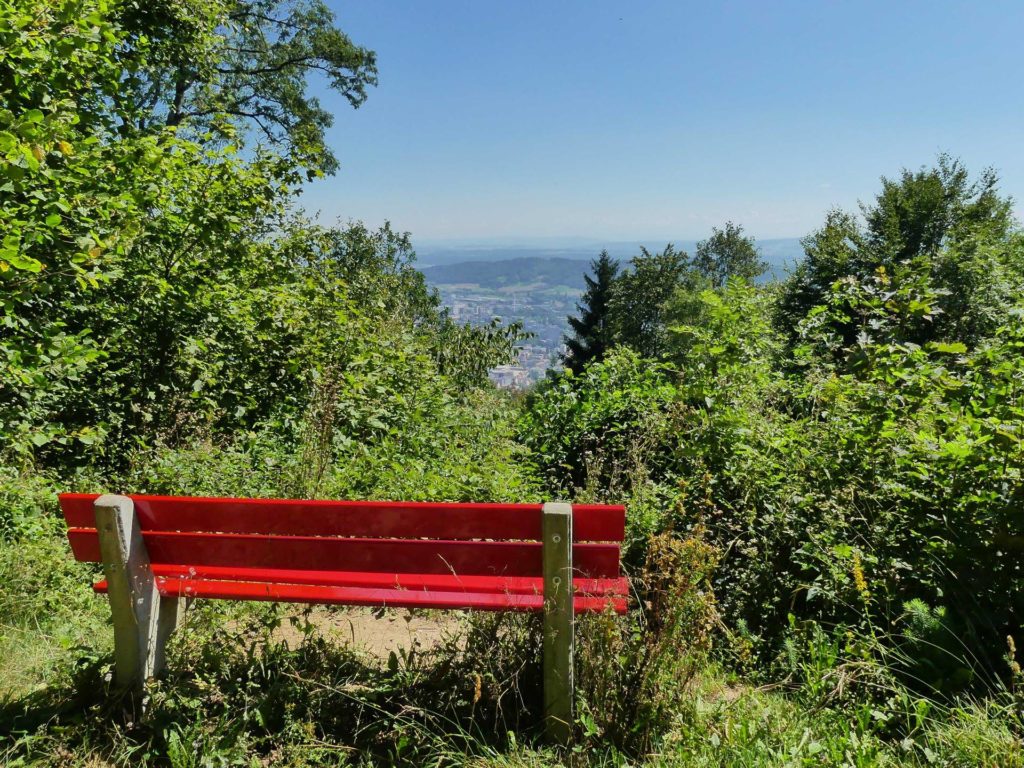 banc-1556