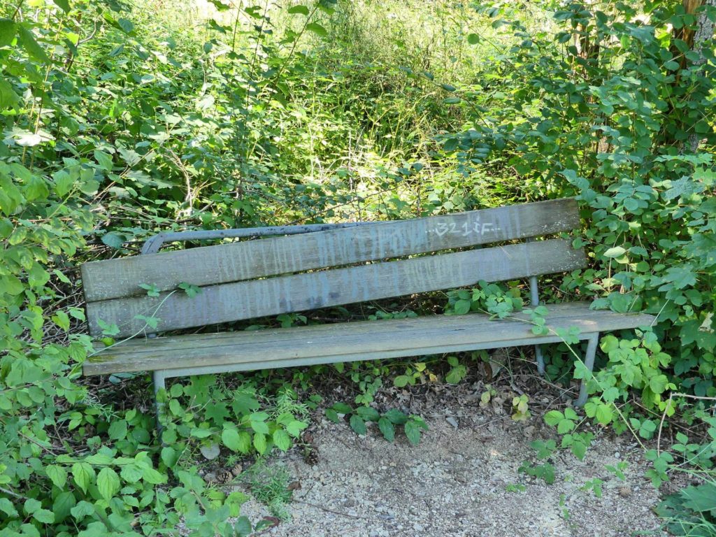 banc-1558