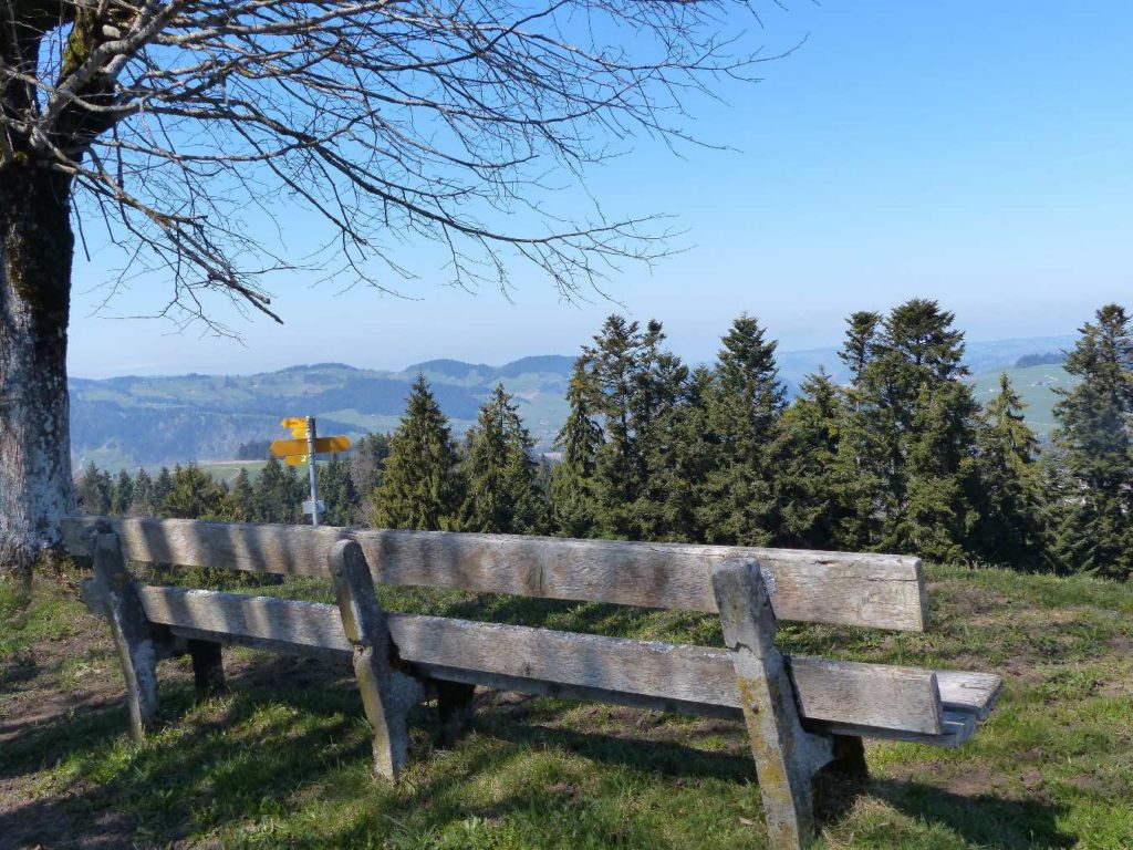 banc-156