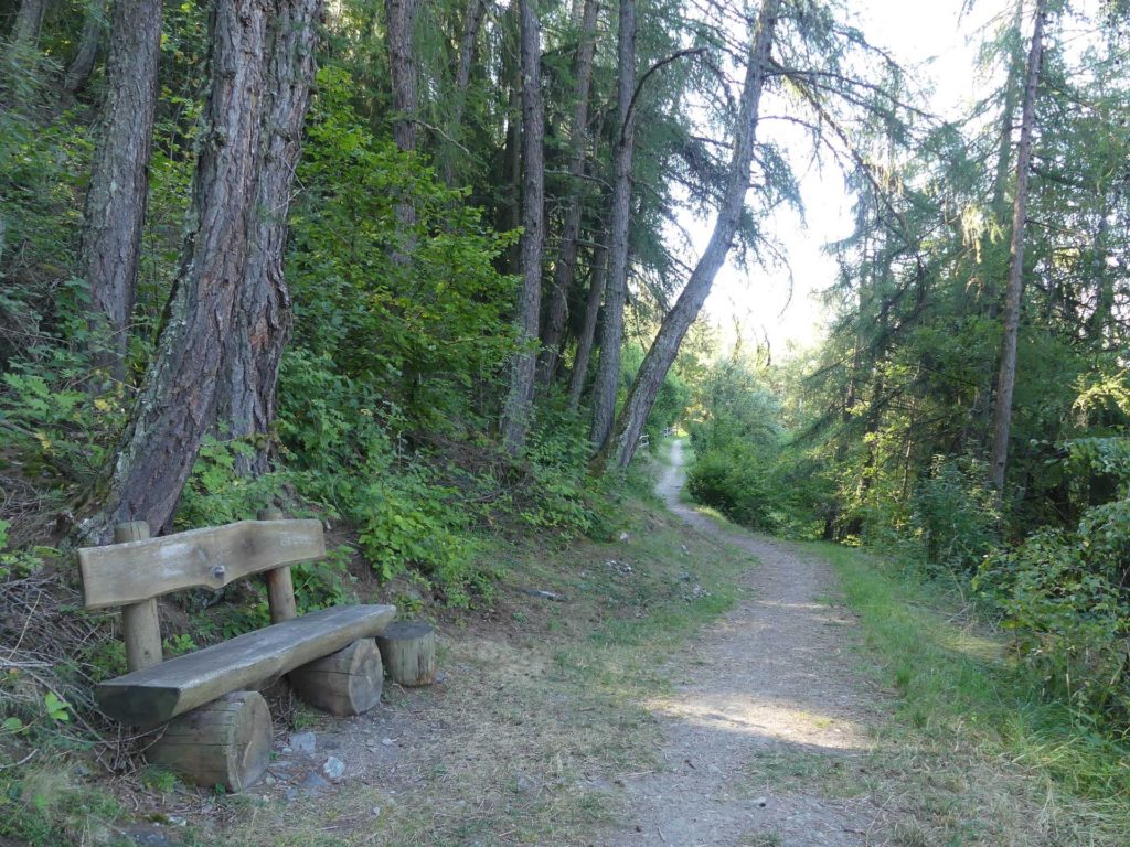 banc-1571