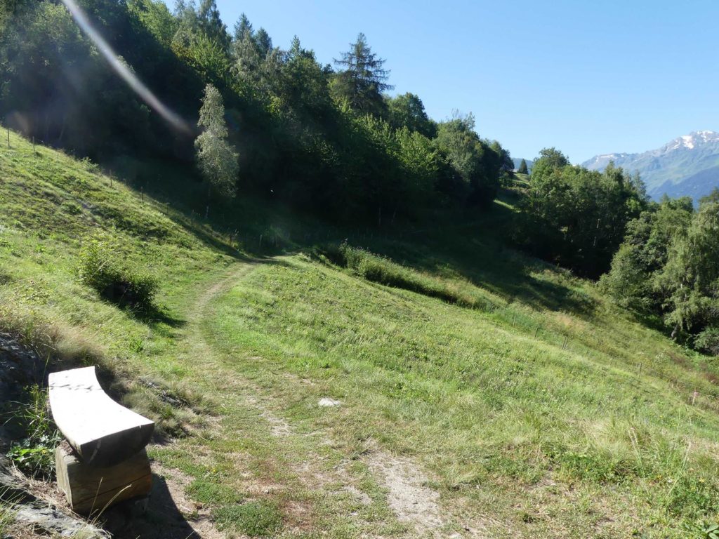 banc-1572