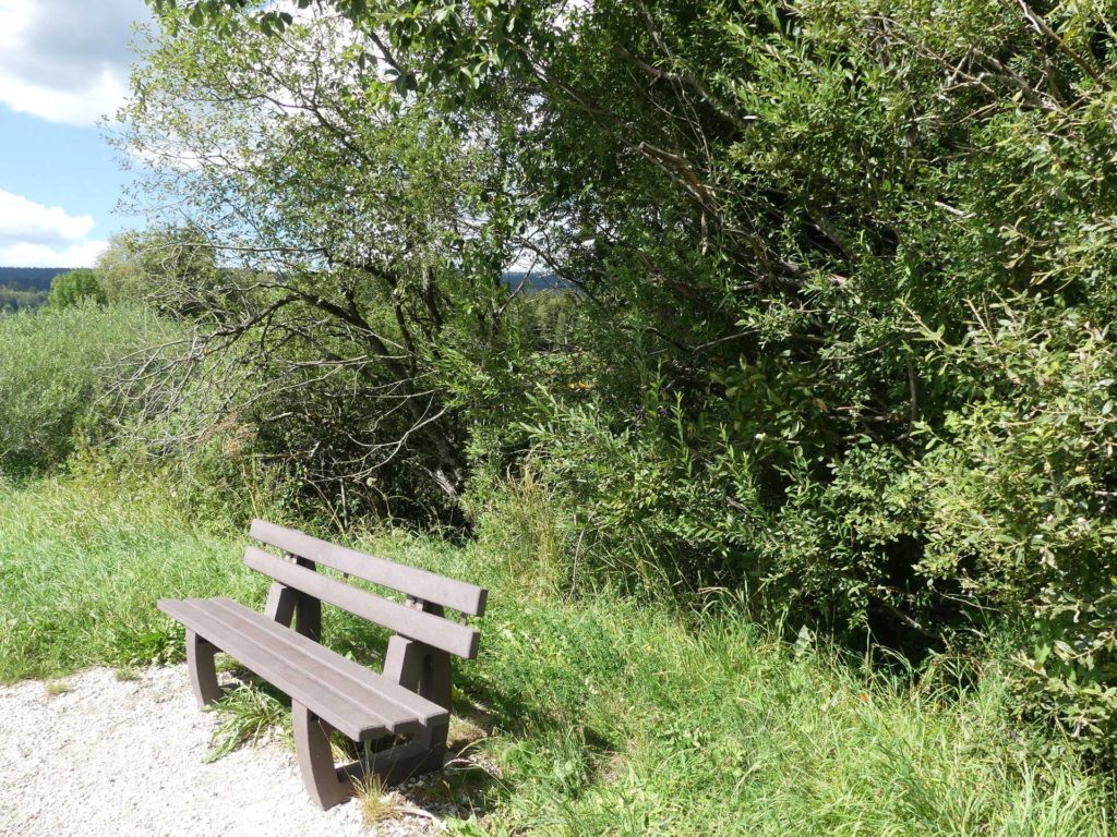 banc-1581