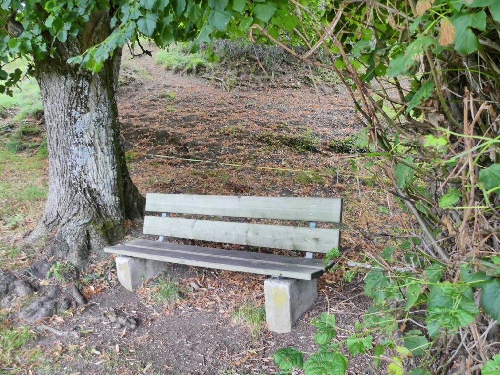 banc-1597