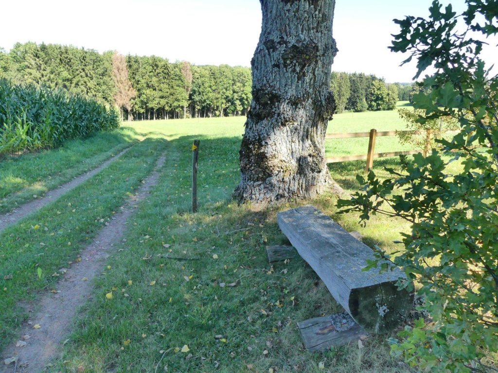 banc-1636