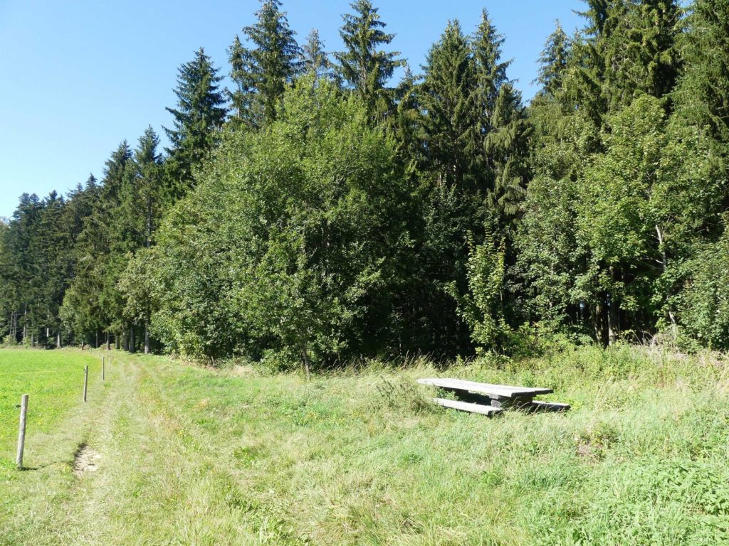 banc-1637