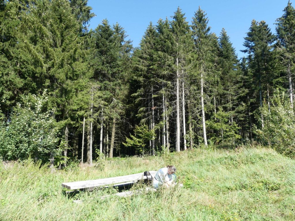 banc-1638