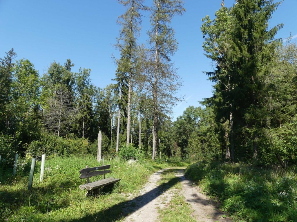 banc-1640