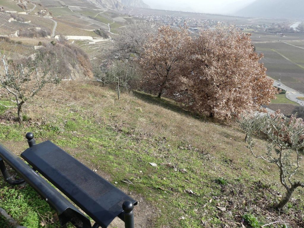 banc-1784