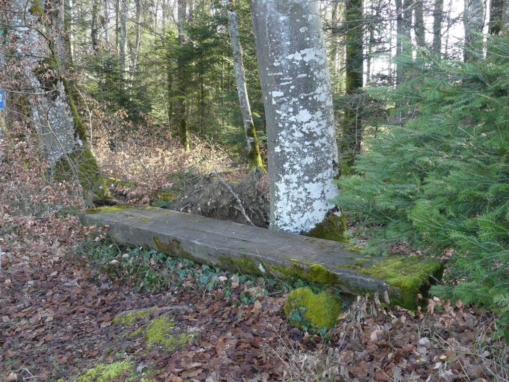 banc-1801