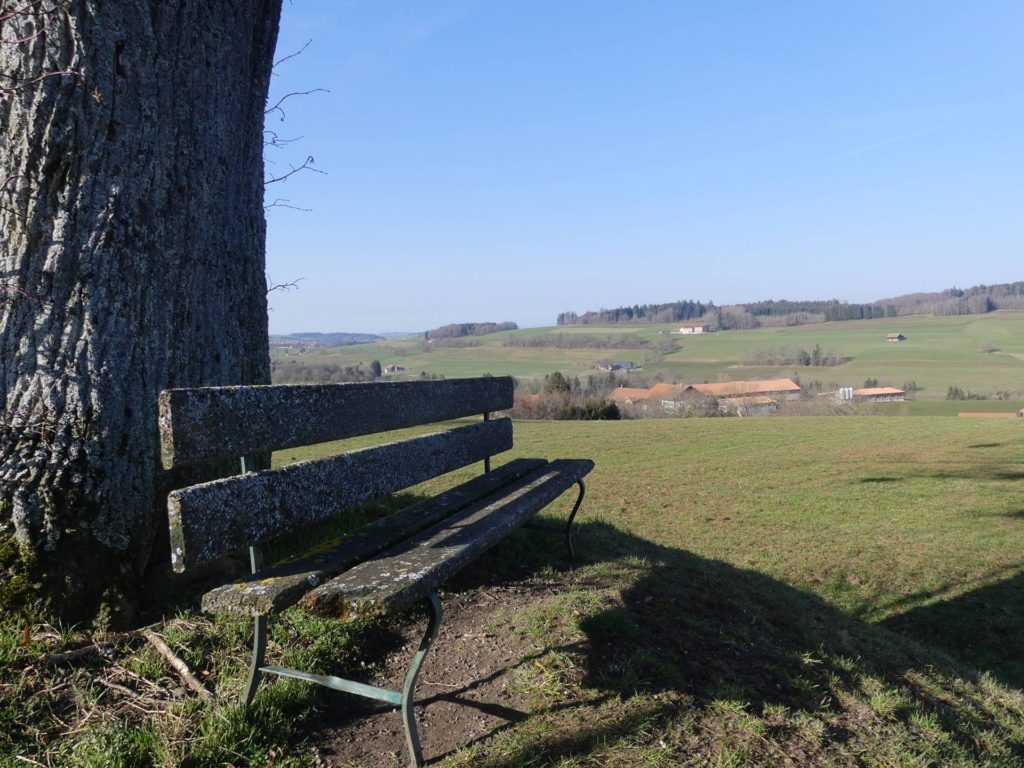 banc-1808