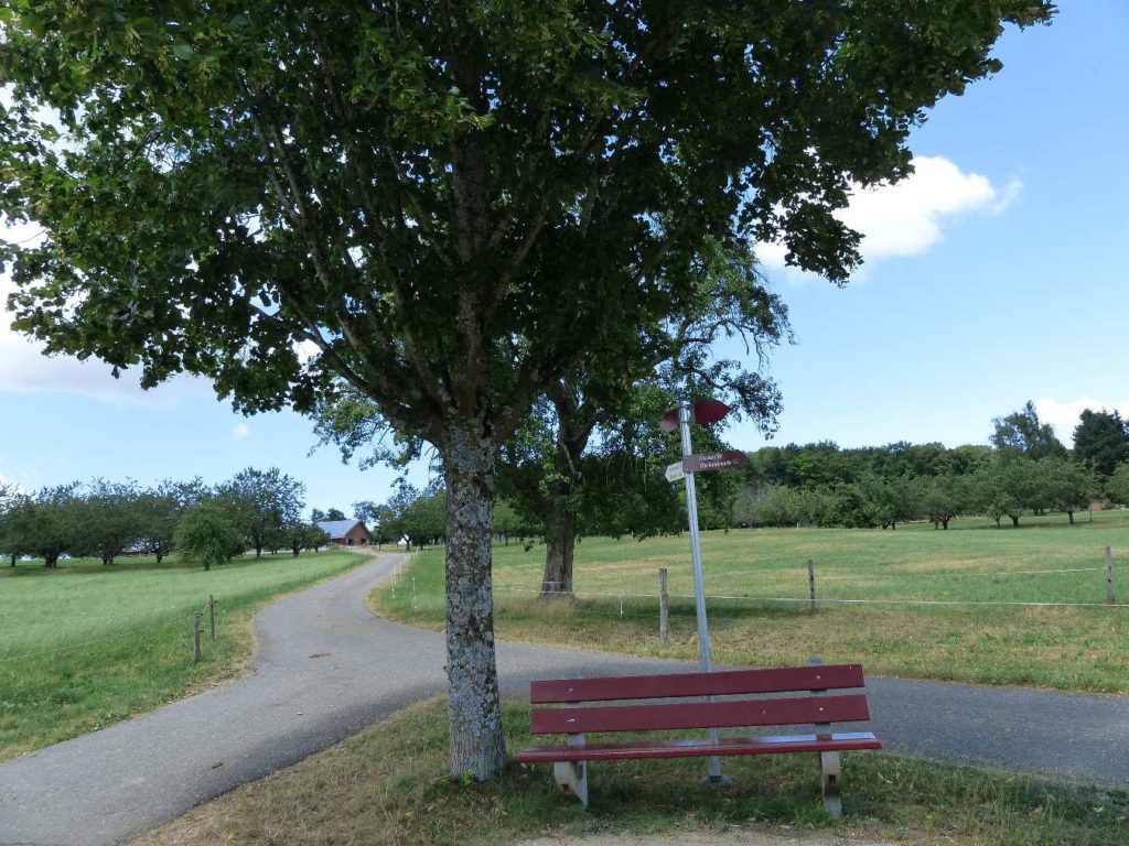 banc-185